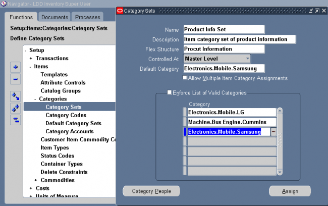 Category Sets Oracle Erp Apps Guide
